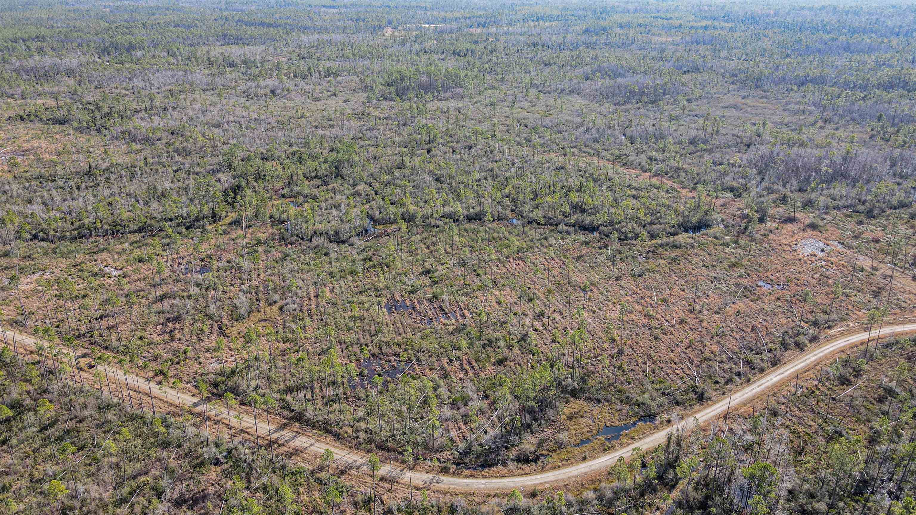 Lot 49 Circle Block Loop Greenville, FL 32331 - Photo 5 of 35