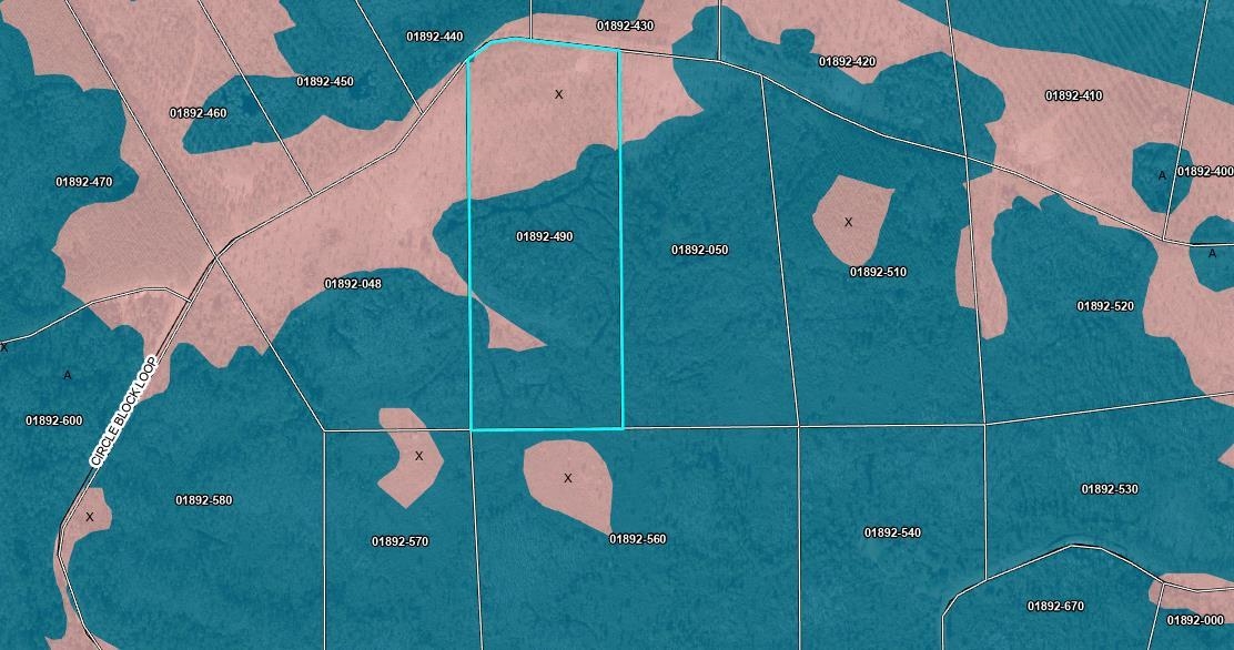 Lot 49 Circle Block Loop Greenville, FL 32331 - Photo 6 of 35