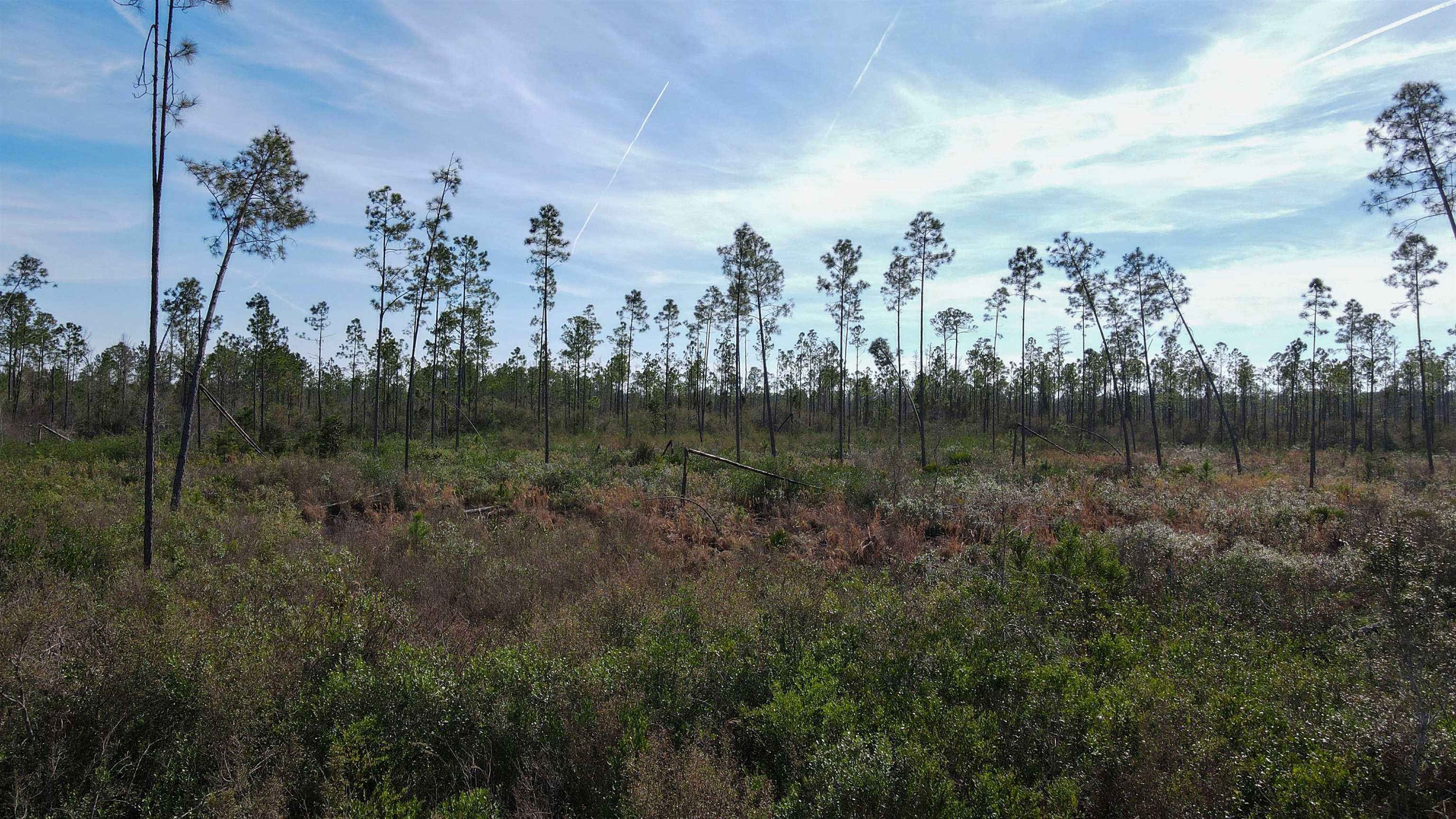 Lot 49 Circle Block Loop Greenville, FL 32331 - Photo 7 of 35