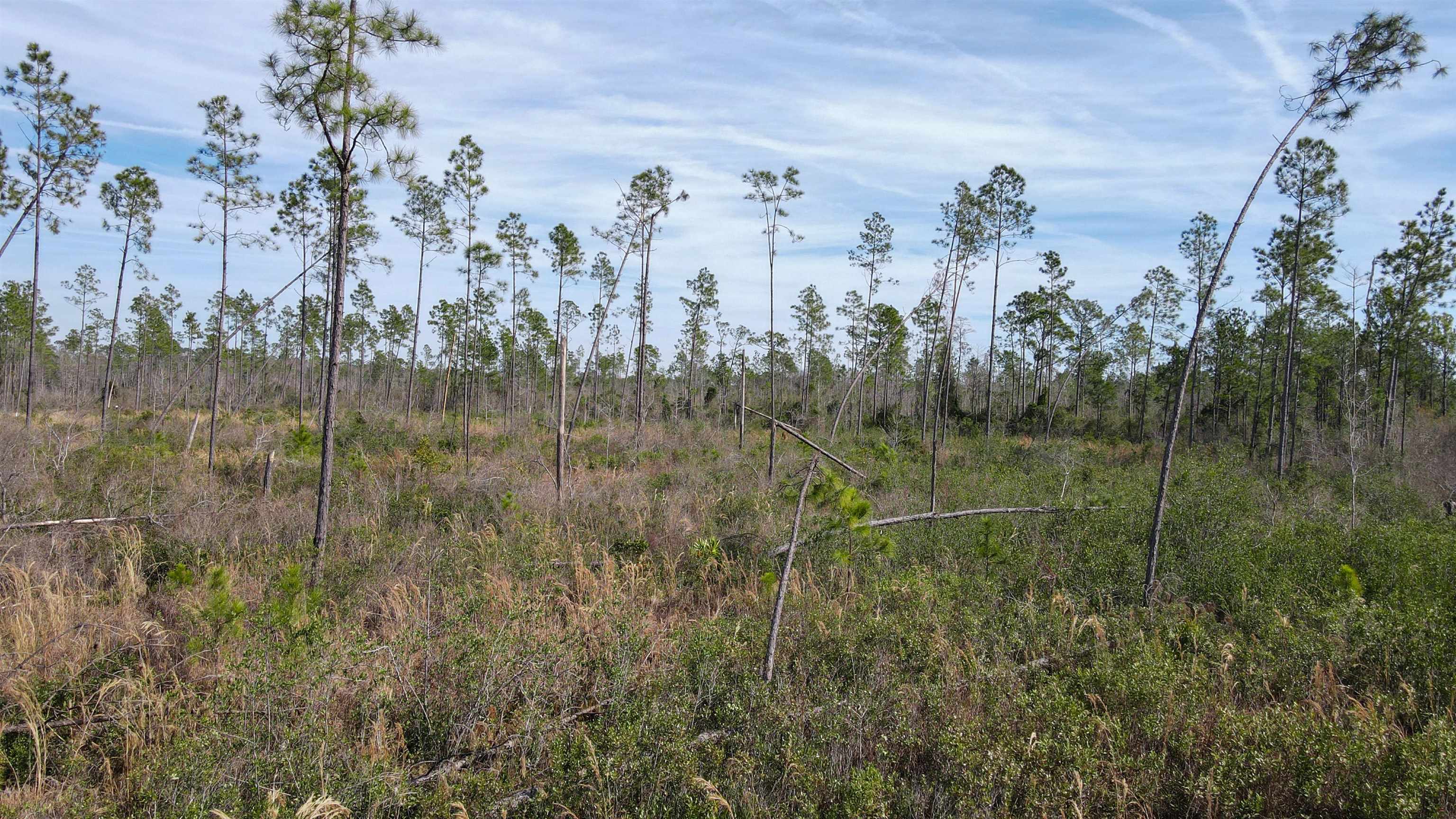 Lot 49 Circle Block Loop Greenville, FL 32331 - Photo 8 of 35