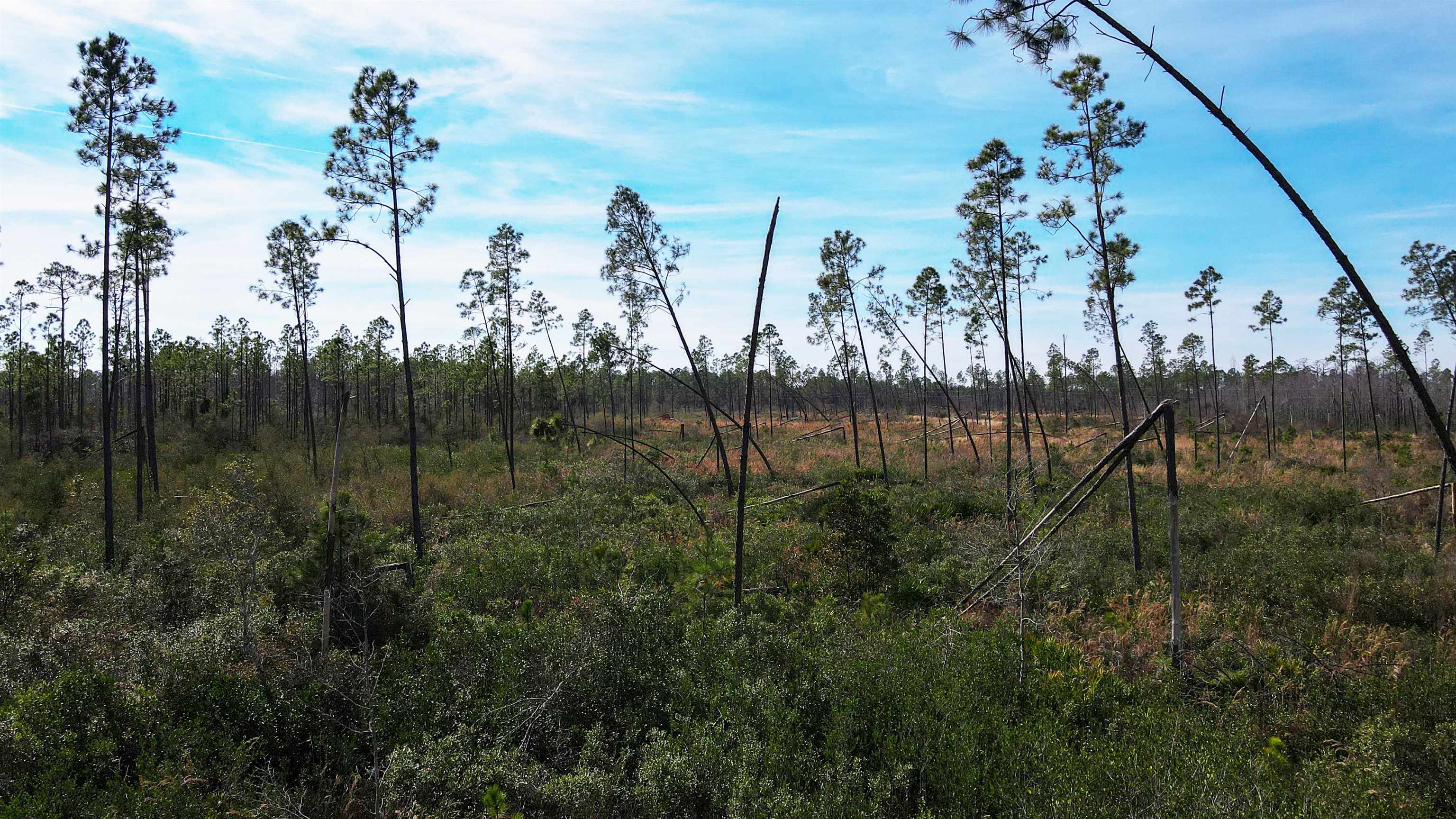 Lot 49 Circle Block Loop Greenville, FL 32331 - Photo 9 of 35