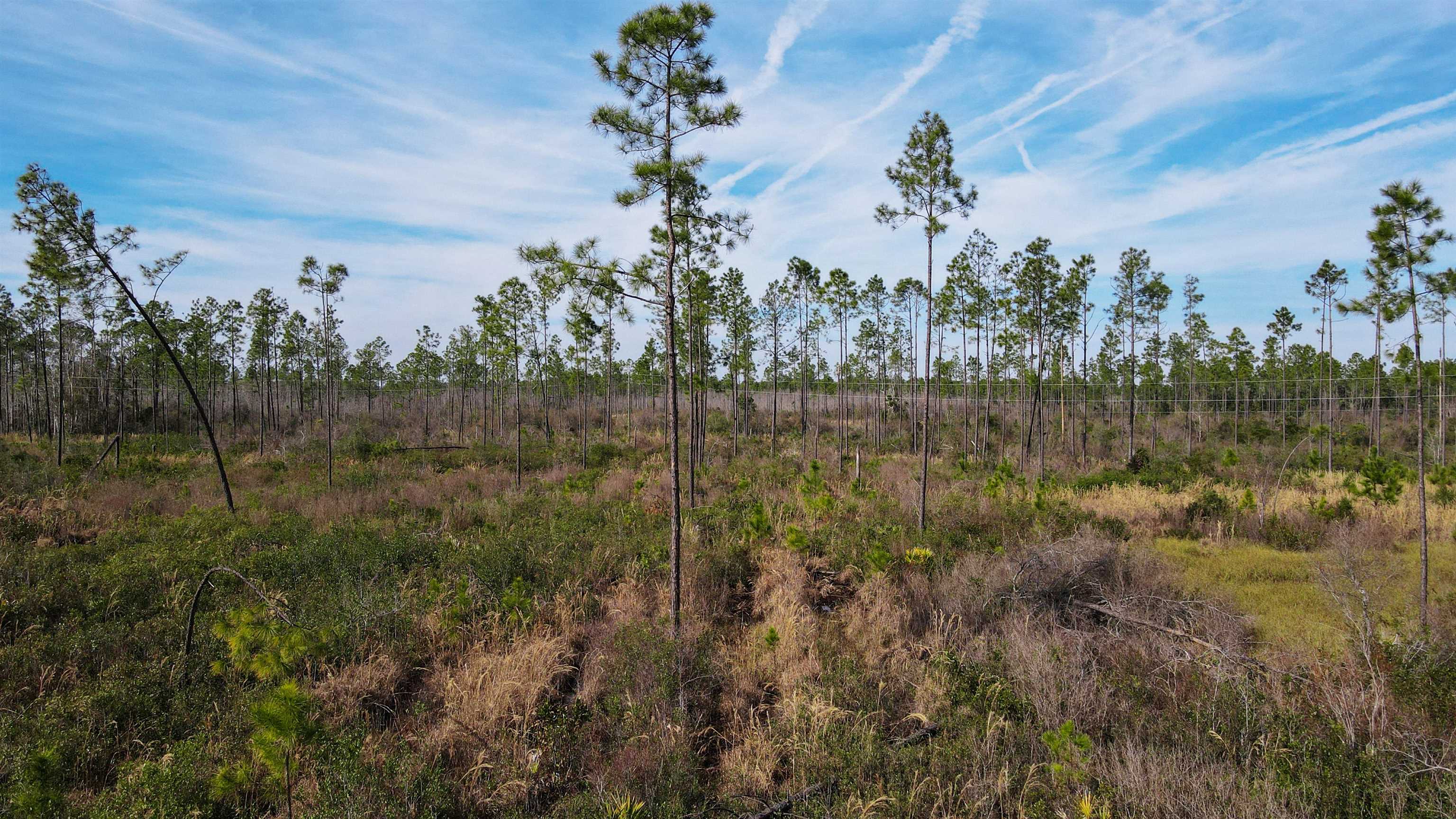 Lot 49 Circle Block Loop Greenville, FL 32331 - Photo 10 of 35
