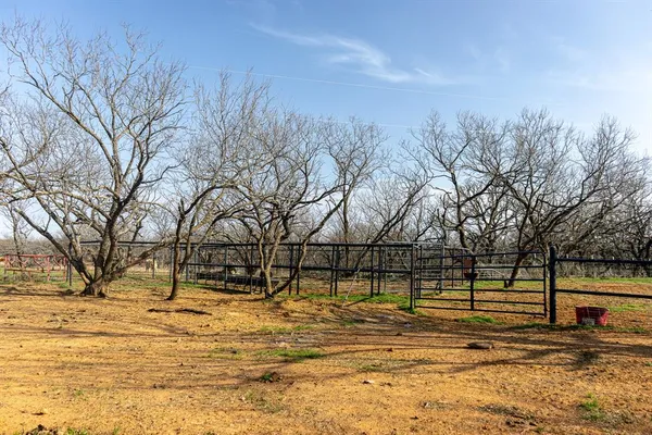 a view of yard