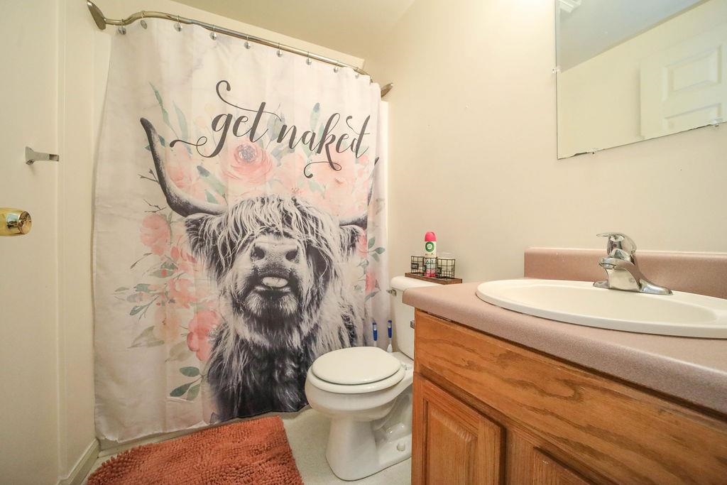 79 Cattle Scales Road Waynesboro, VA 22980 - Photo 27 of 39 a bathroom with a sink a toilet and a mirror