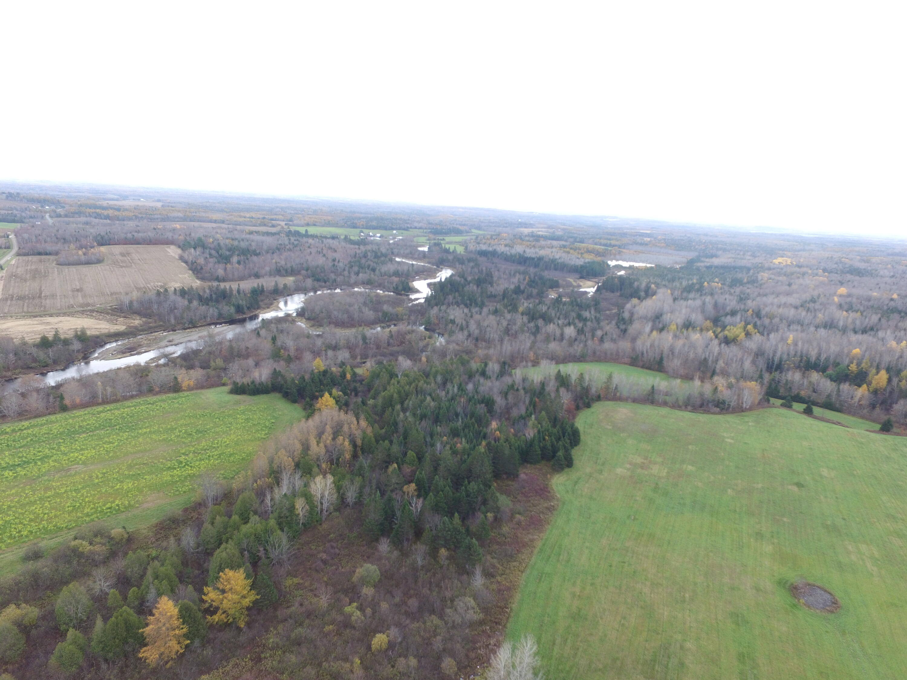 501 Gentle Road Littleton, ME 04730 - Photo 38 of 80 DJI_0040