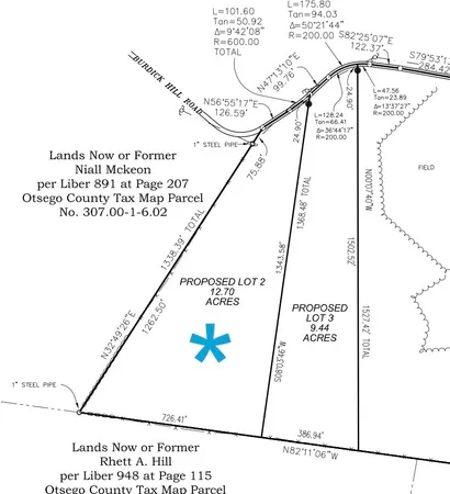 $59,900 | Lot 2 Burdick Hill Road, Otego, NY 13825
