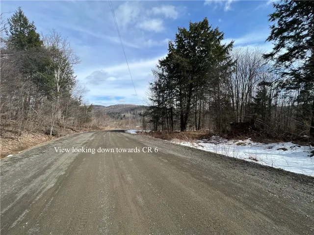 $59,900 | Lot 2 Burdick Hill Road, Otego, NY 13825