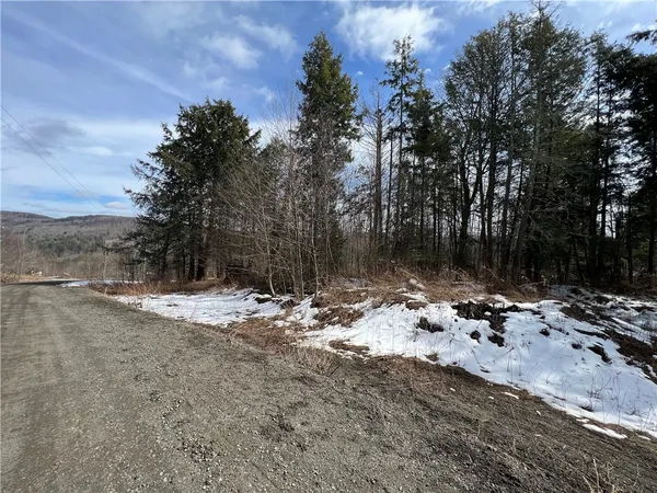 $59,900 | Lot 2 Burdick Hill Road, Otego, NY 13825