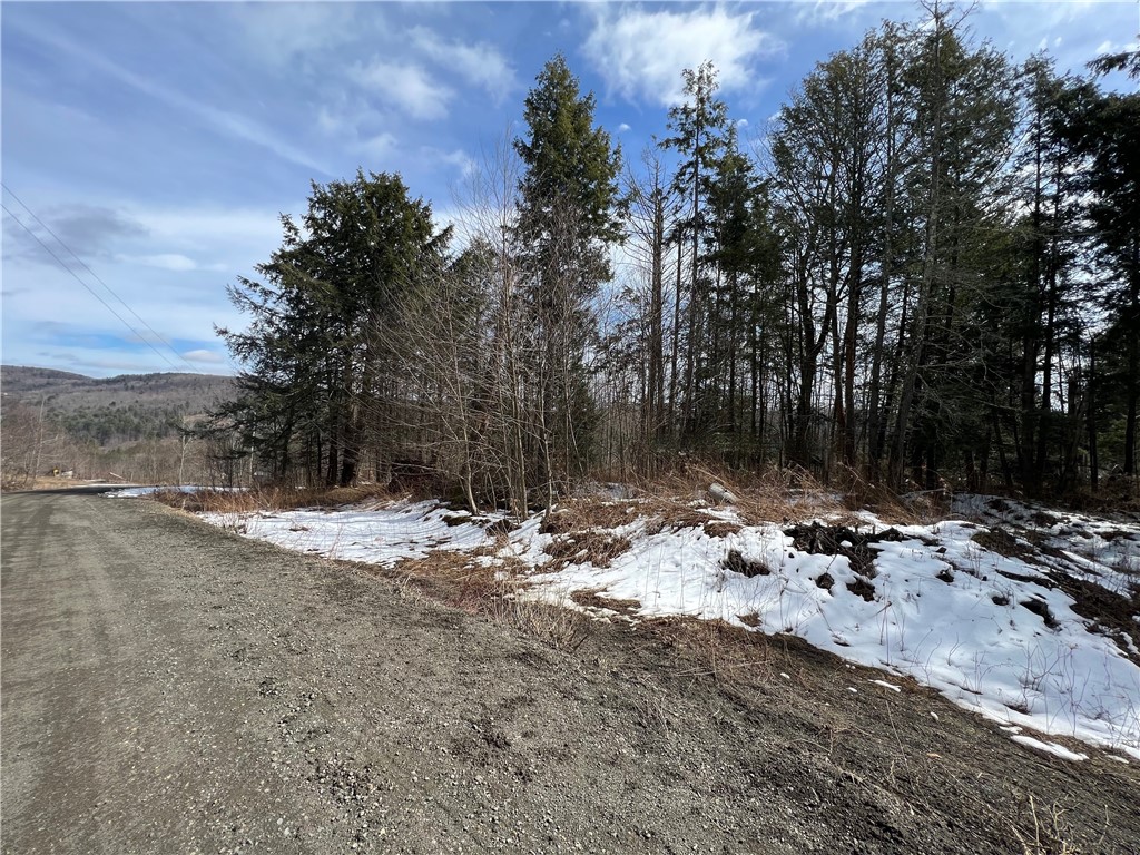 Lot 2 Burdick Hill Road Otego, NY 13825 - Photo 9 of 11 Looking down toward CR 6