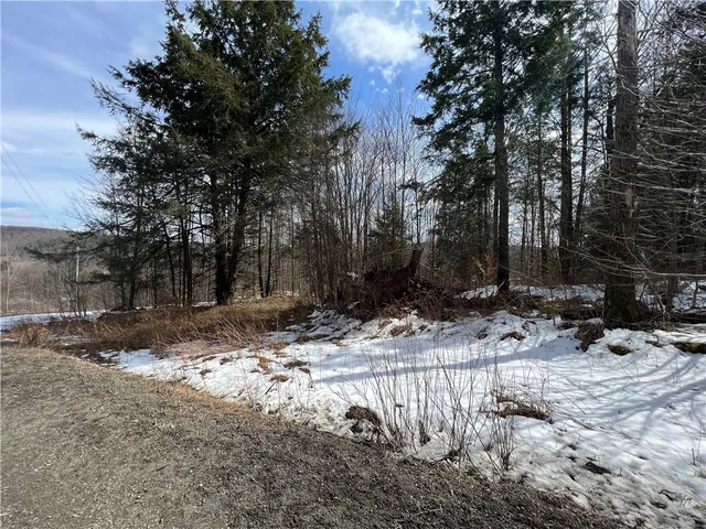 $59,900 | Lot 2 Burdick Hill Road, Otego, NY 13825