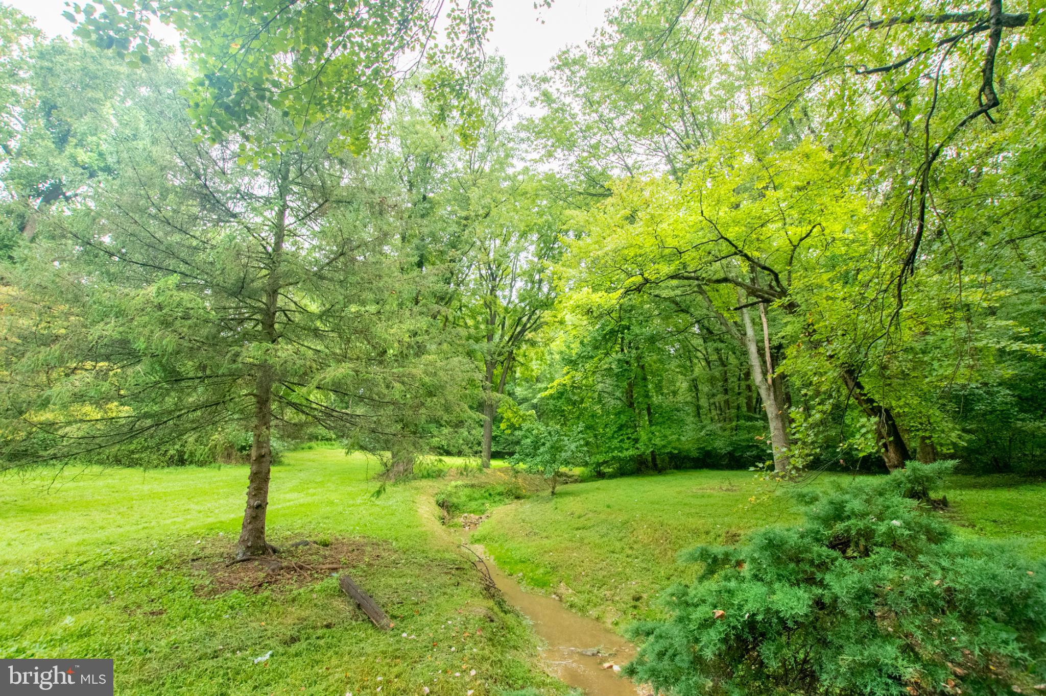 1425 South Manor Road Coatesville, PA 19320 - Photo 8 of 32 Lush greenery and a serene stream await.