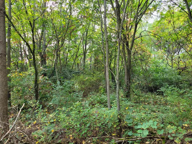 $30,000 | 892 Sullivan Road, Niles, MI 49120