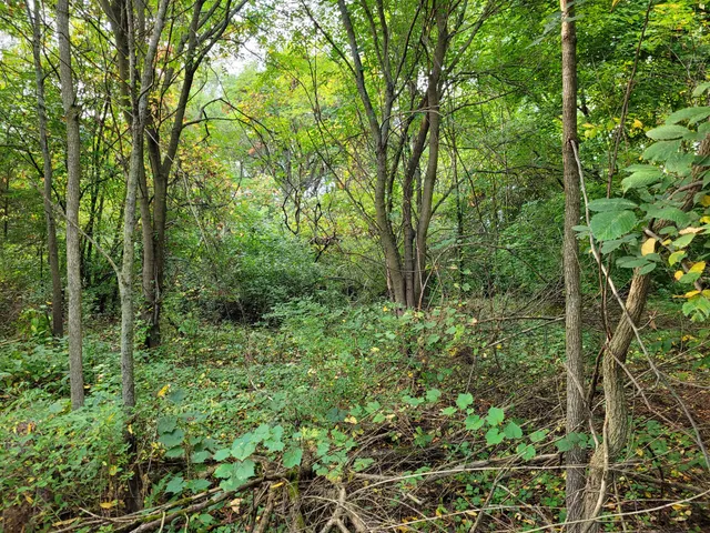 $30,000 | 892 Sullivan Road, Niles, MI 49120