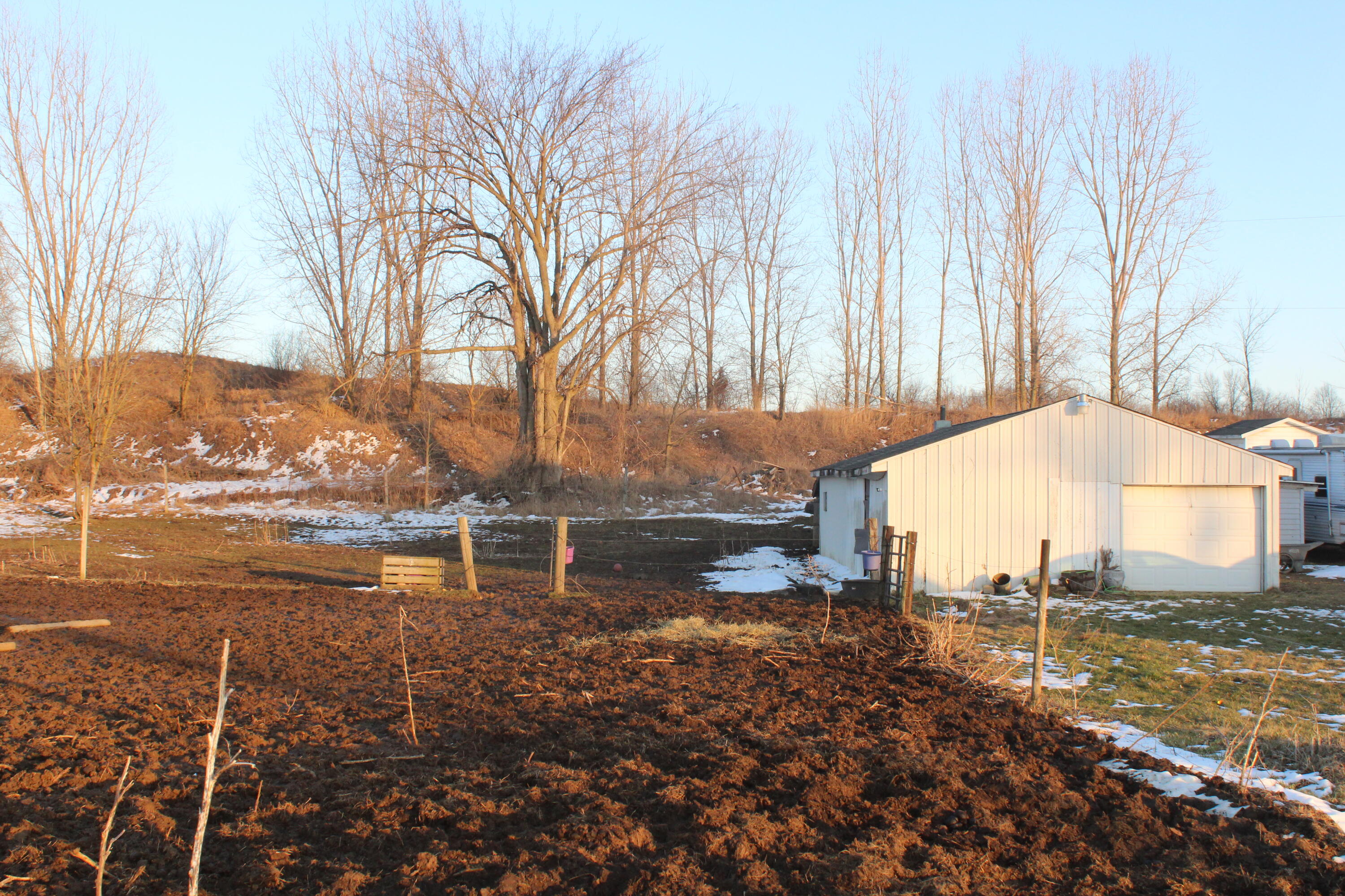 9401 Sand Road Bellevue, MI 49021 - Photo 2 of 18 Fenced pastures