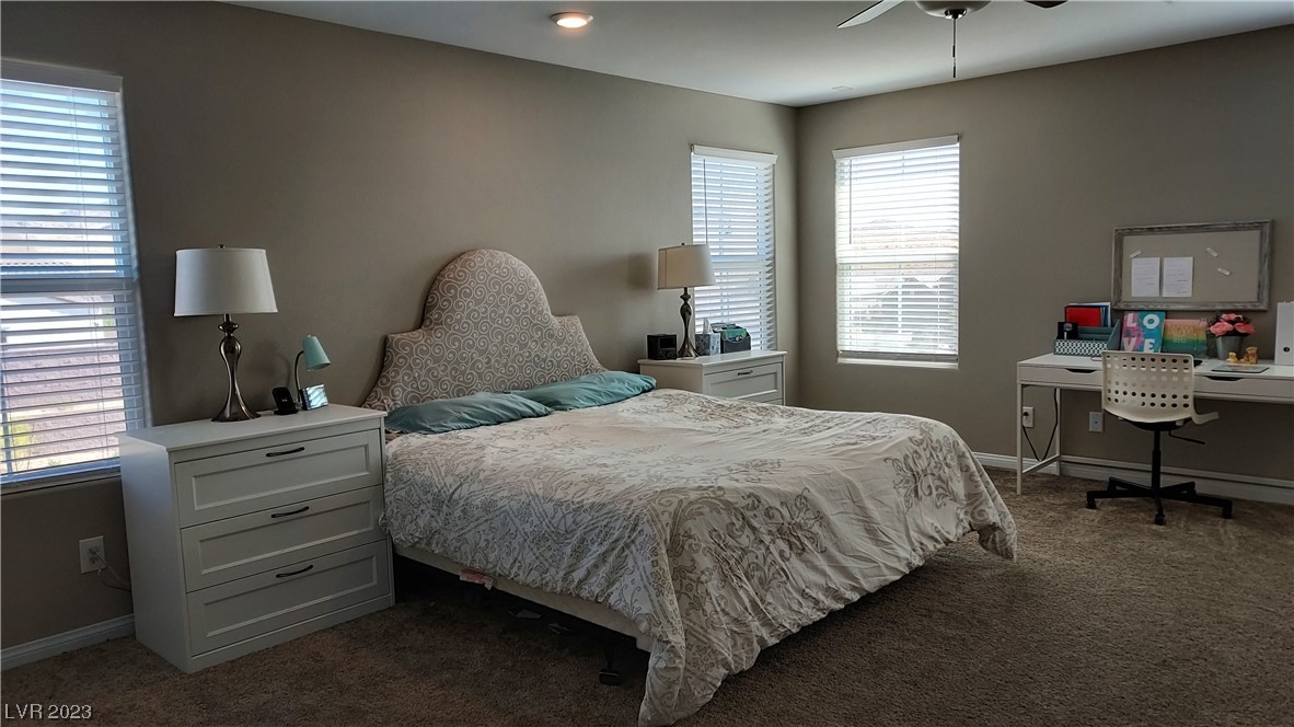 2629 Monte Cevedale Street Henderson, NV 89044 - Photo 43 of 43