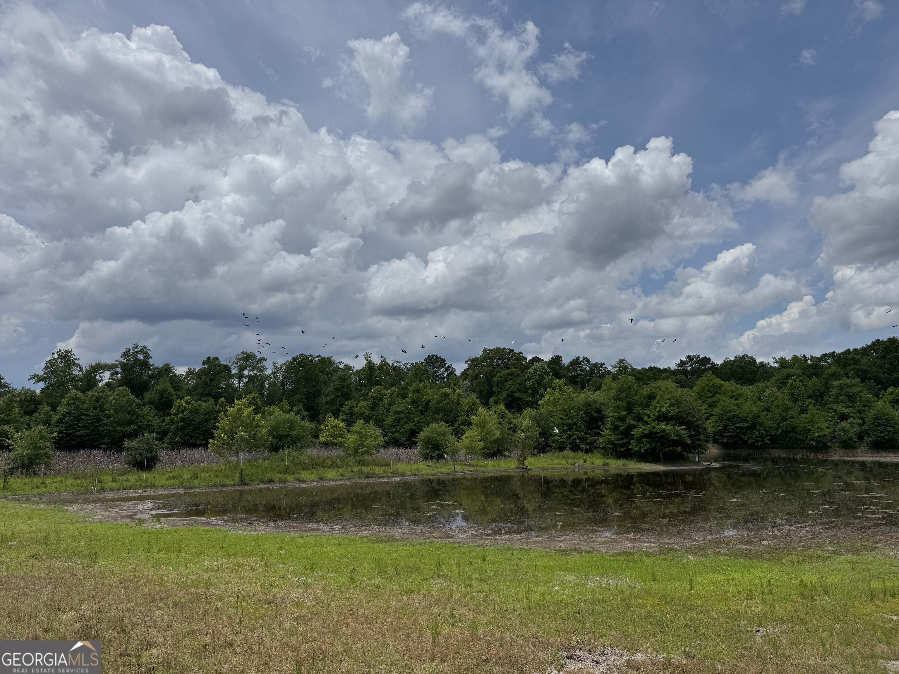 0 Rocky Mt Church Road Eufaula, AL 36027 - Photo 21 of 35