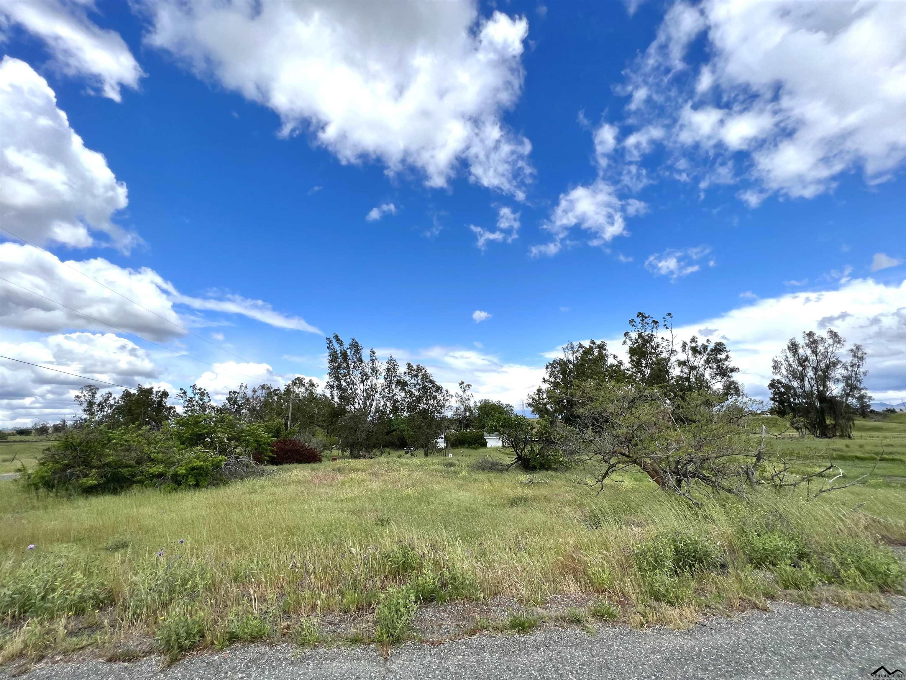 13380 Prairie Road Red Bluff, CA 96080 - Photo 2 of 3