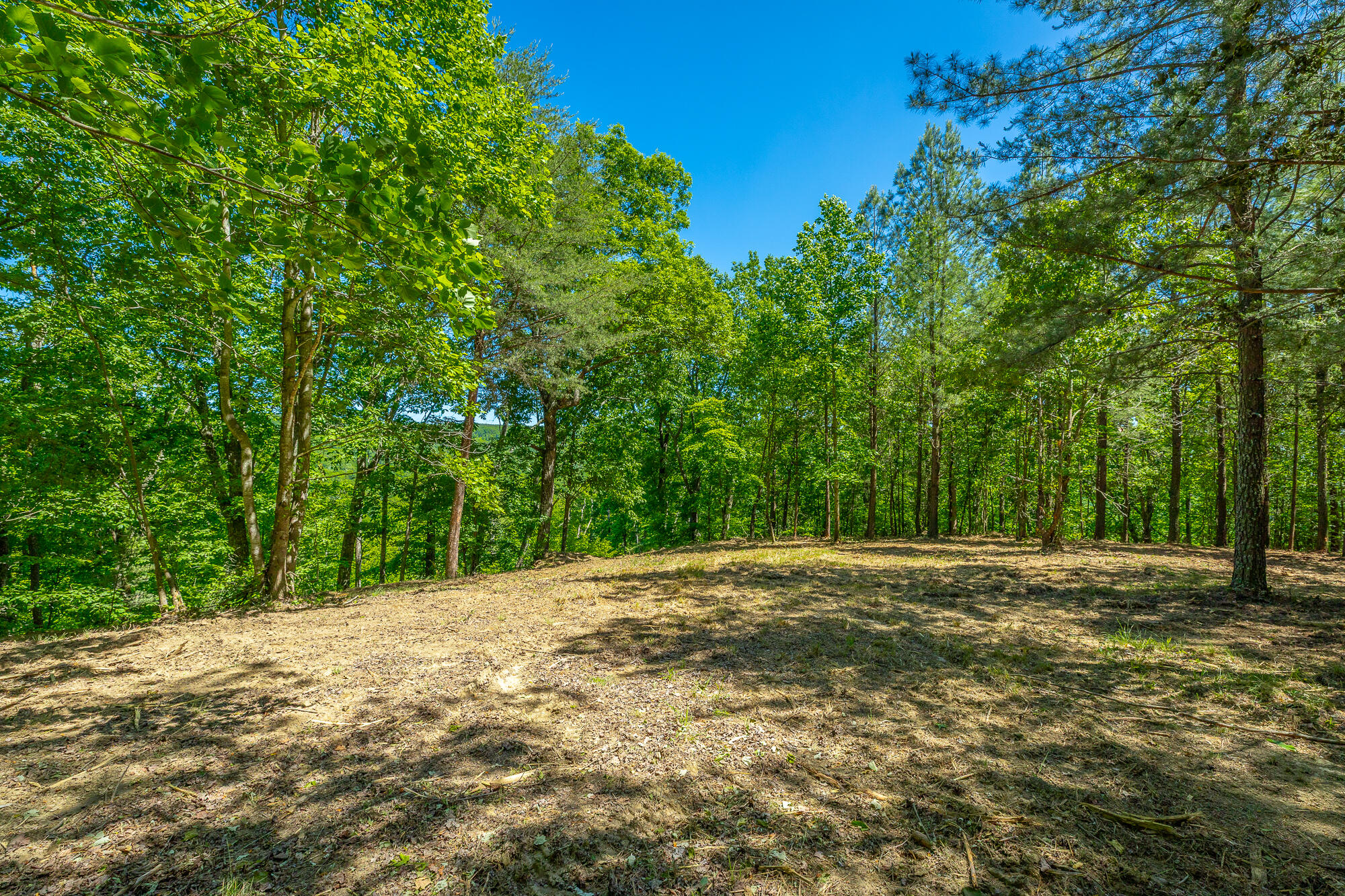 0 Split Rail Way, Unit 1349 Guild, TN 37340 - Photo 6 of 108 0 Split Rail Way - Lot 1349 HD-62