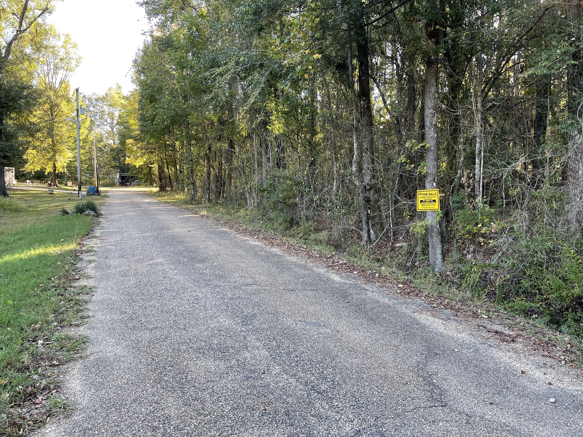 a view of a park with large trees