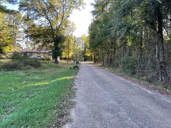 a view of a field with trees in front of it