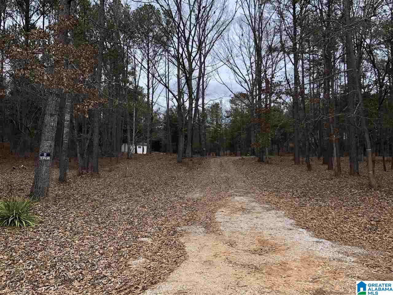 583 Race Track Road Centreville, AL 35042 - Photo 4 of 7