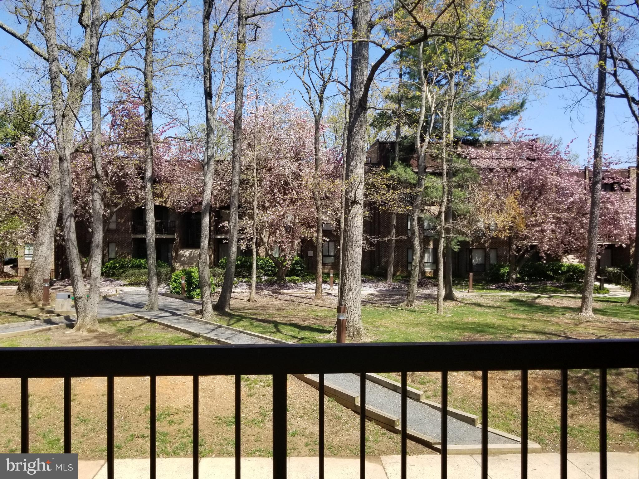 11200 Chestnut Grove Square, Unit 102 Reston, VA 20190 - Photo 4 of 30 View