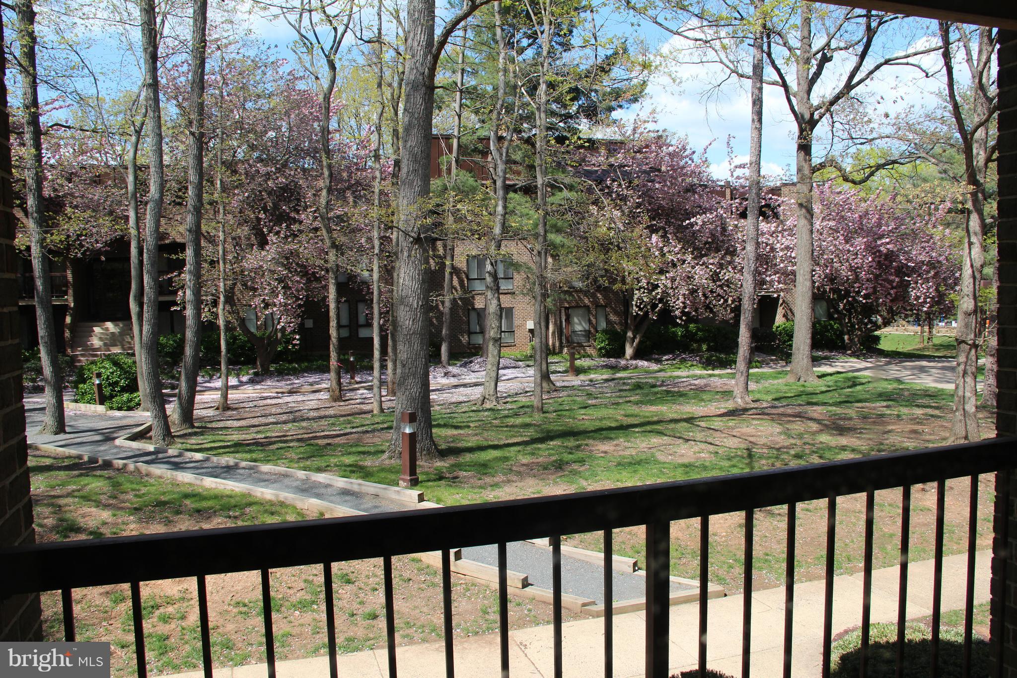 11200 Chestnut Grove Square, Unit 102 Reston, VA 20190 - Photo 5 of 30 View