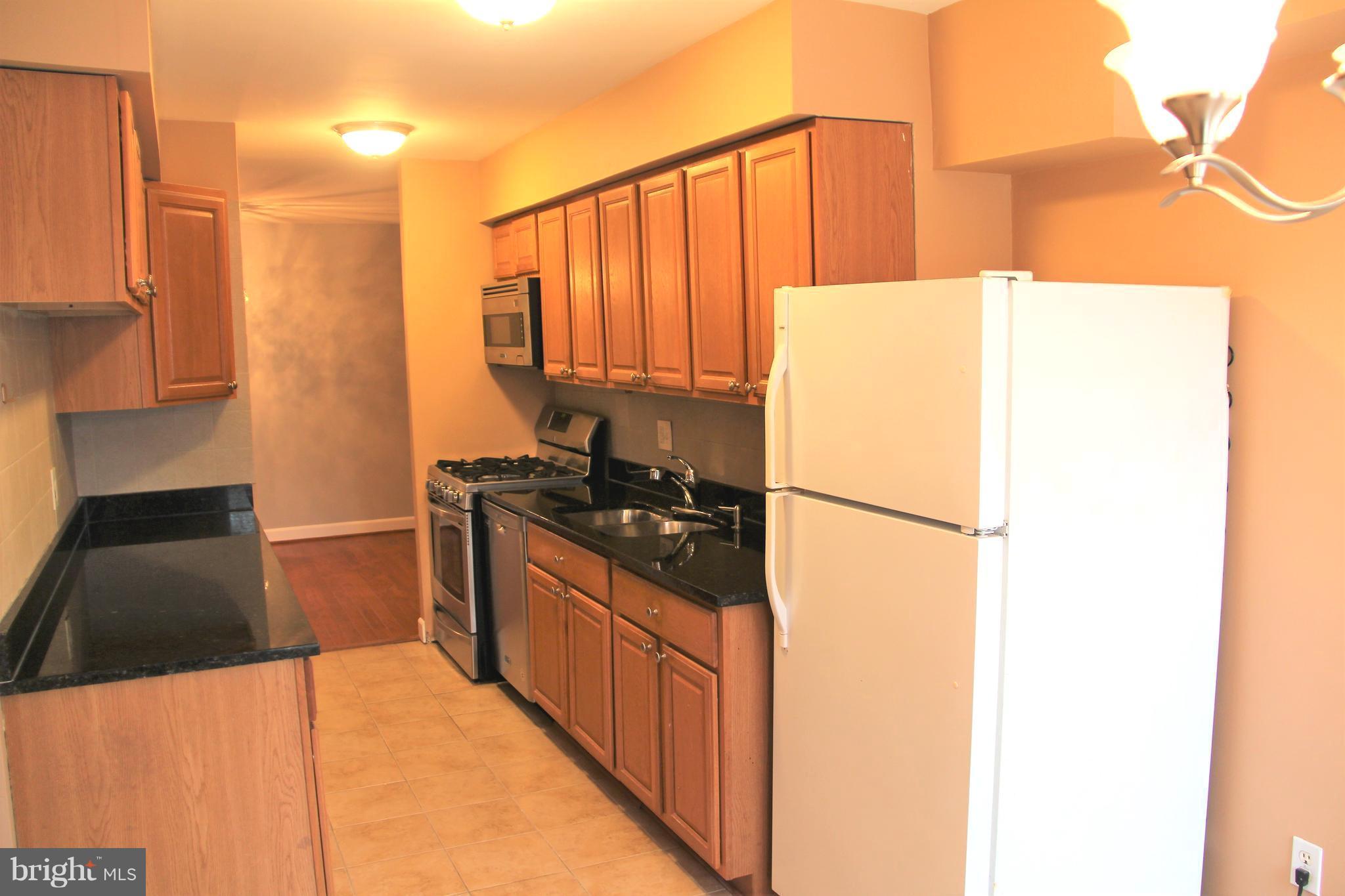 11200 Chestnut Grove Square, Unit 102 Reston, VA 20190 - Photo 8 of 30 Kitchen