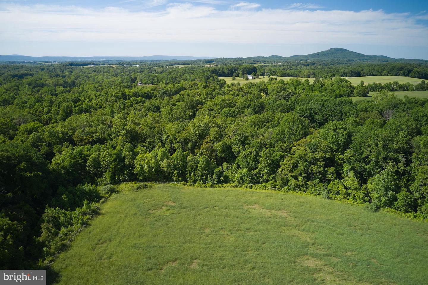 21050 Big Woods Road Dickerson, MD 20842 - Photo 61 of 62 Gallery Image 61