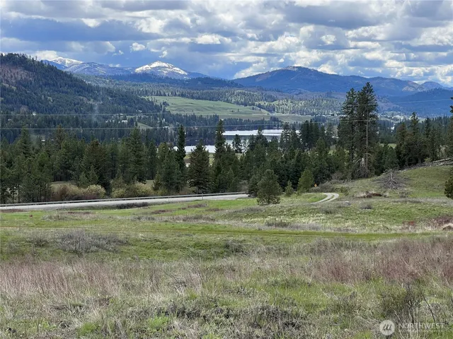 a view of grassy field with trees