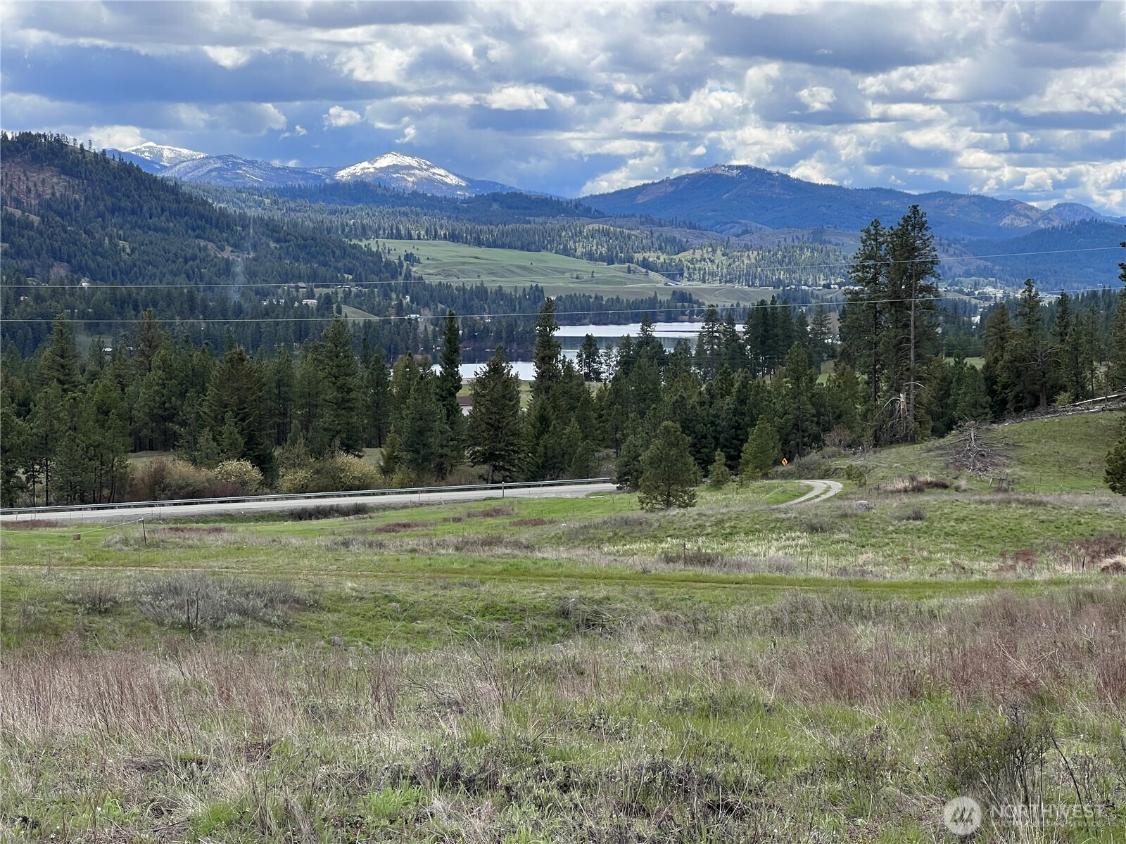 a view of grassy field with trees