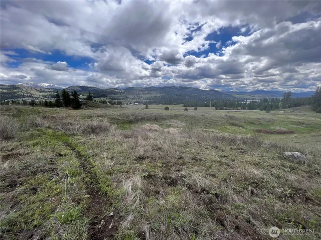 a view of a big yard of a house with a yard