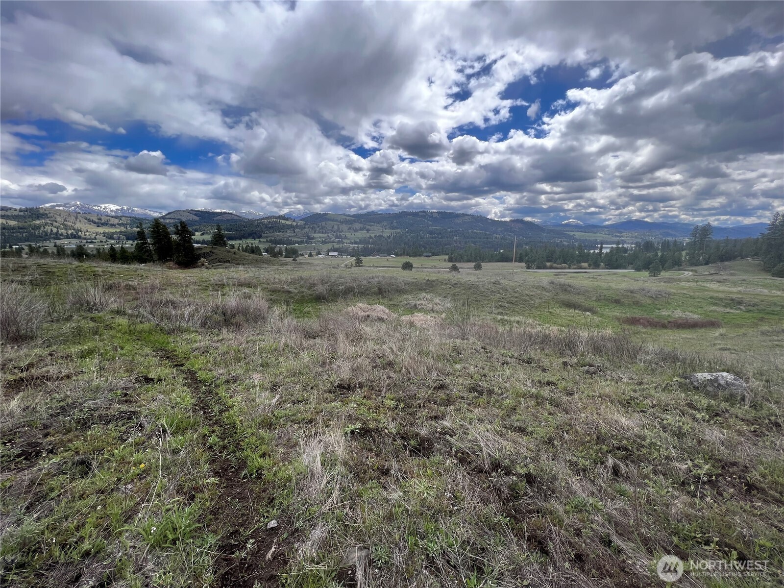 24 Spoke Lane Republic, WA 99166 - Photo 12 of 14 a view of a big yard with lots of green space