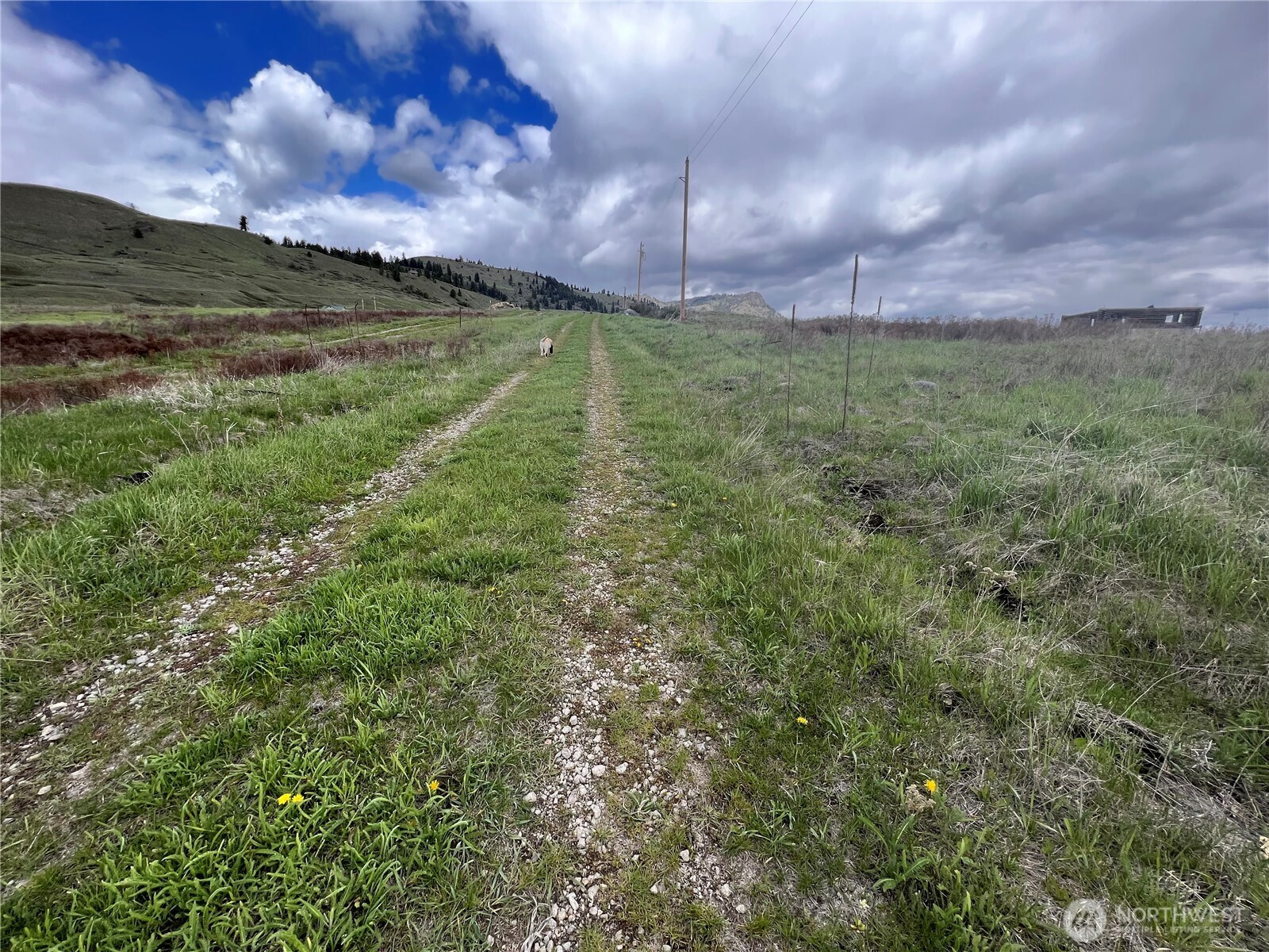 24 Spoke Lane Republic, WA 99166 - Photo 13 of 14 a view of a big yard of a house with a yard