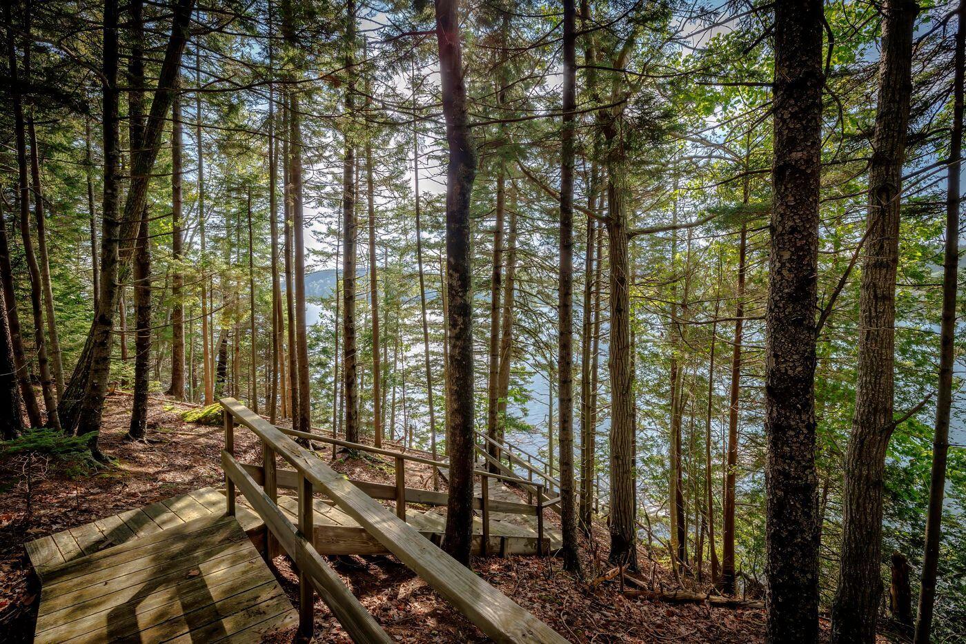 12 Harbor Road Brooksville, ME 04617 - Photo 40 of 49 W42-ME2716-ME2659-42NN- DTP