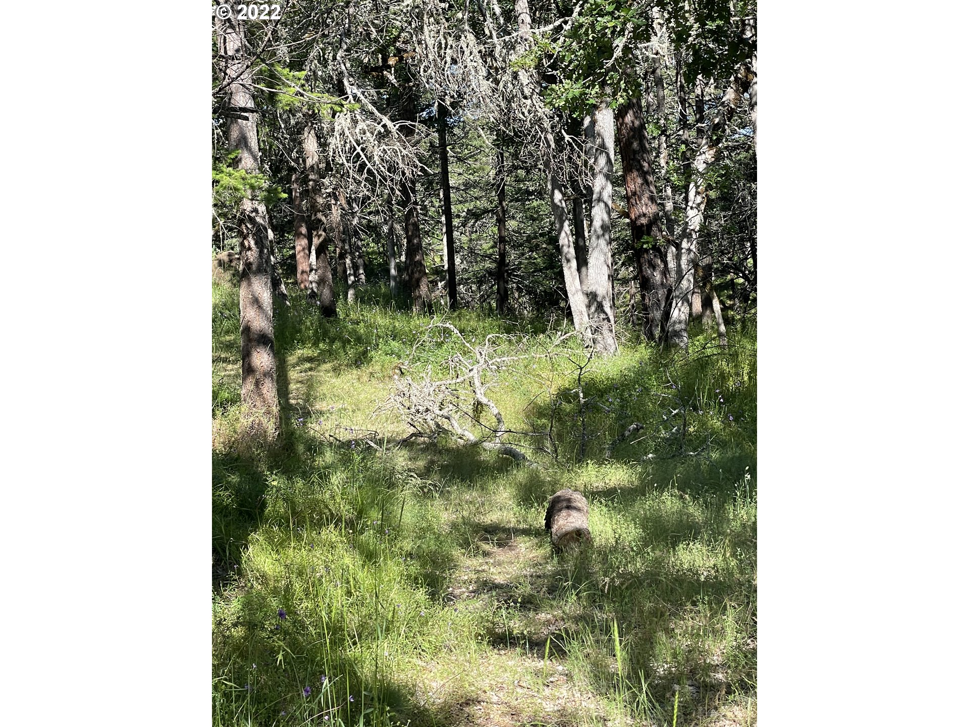 Osborn Cutoff Mosier, OR 97040 - Photo 22 of 27 Gallery Image 22