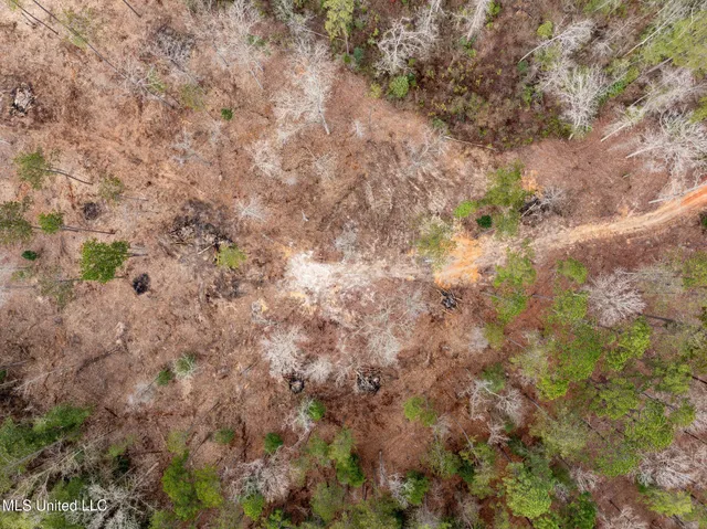 $224,900 | 11-acres 11-acres, Sumrall, MS 39482