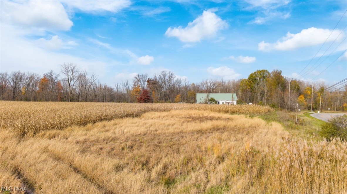 3652 Pearl Road Medina, OH 44256 - Photo 16 of 38 View of yard with a rural view