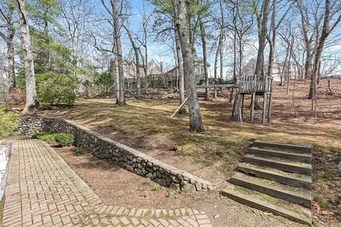 a view of a yard with trees
