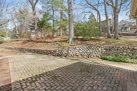 a view of a yard with an trees