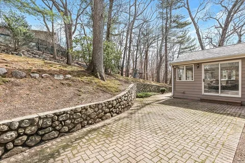 a view of a yard with trees
