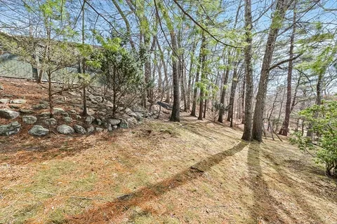 a view of a yard with a tree