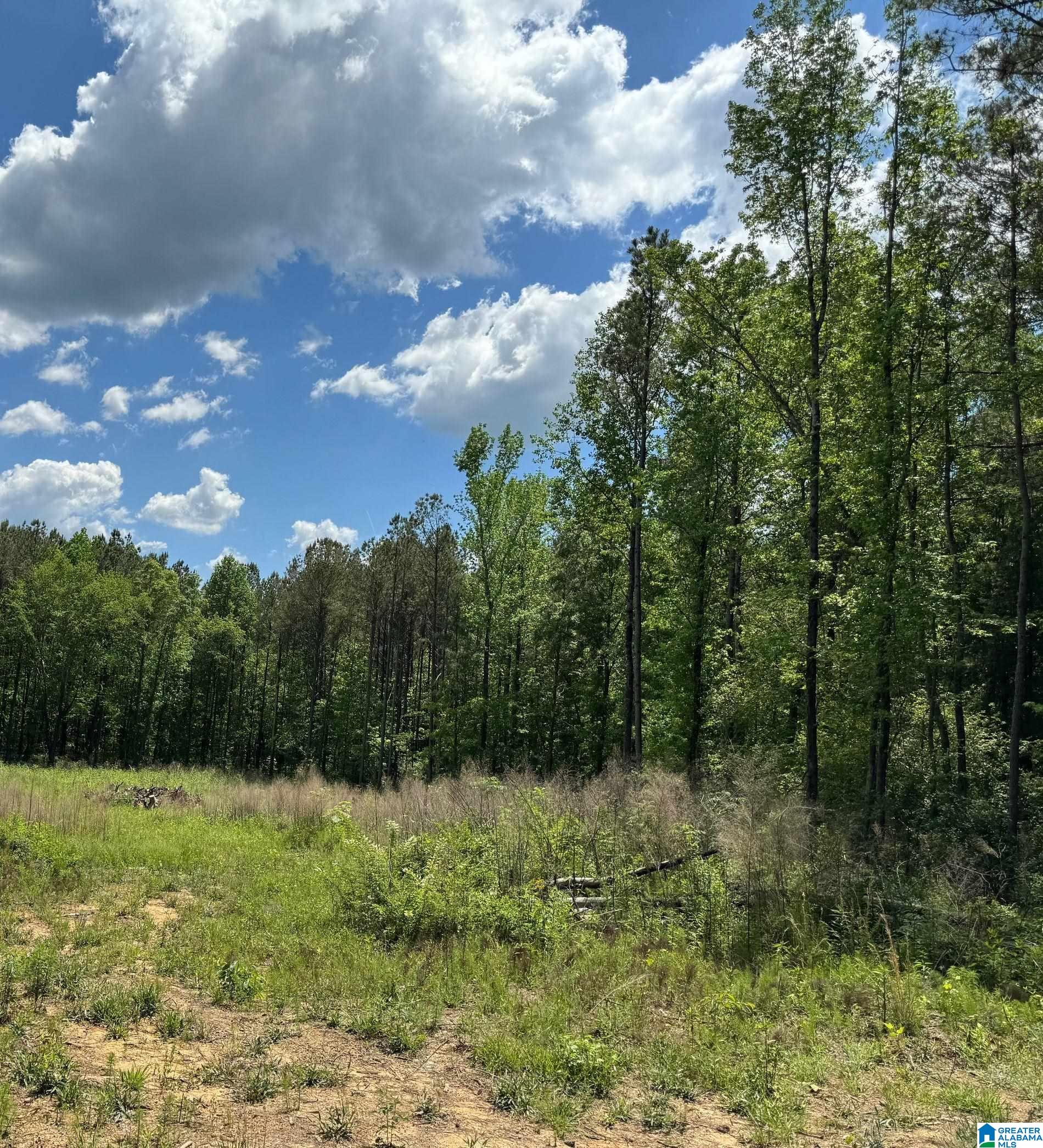 5024 Hollis Goodwin Road Dora, AL 35062 - Photo 4 of 5