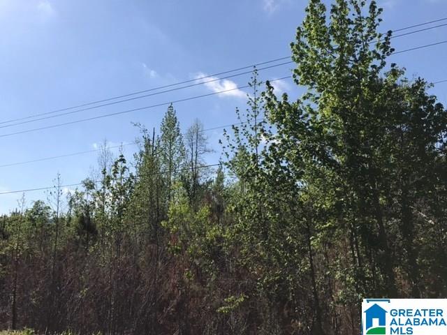 1 Shoal Creek Road, Unit 1 Ashville, AL 35953 - Photo 4 of 7