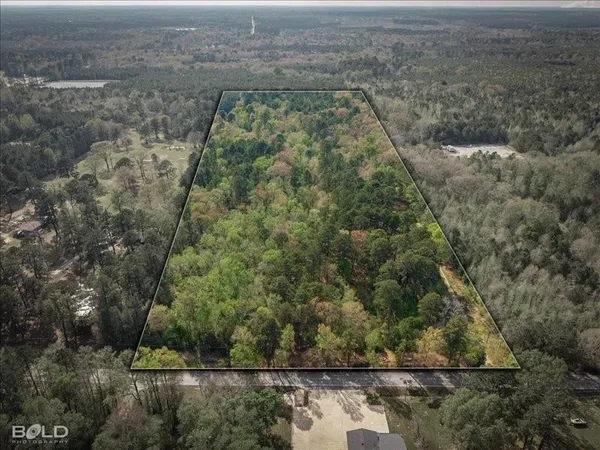 a view of a forest