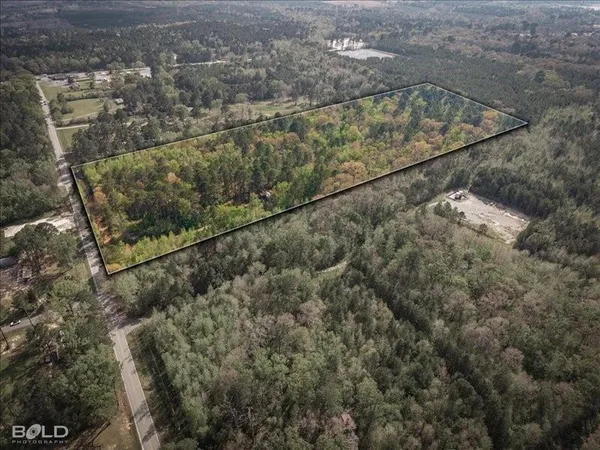 a view of a forest with a bench