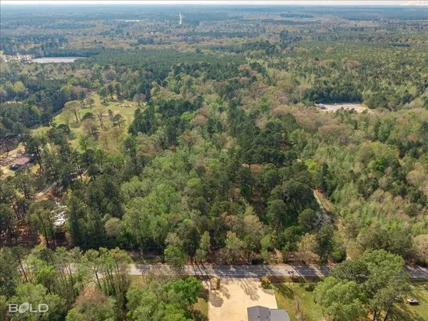 an aerial view of forest