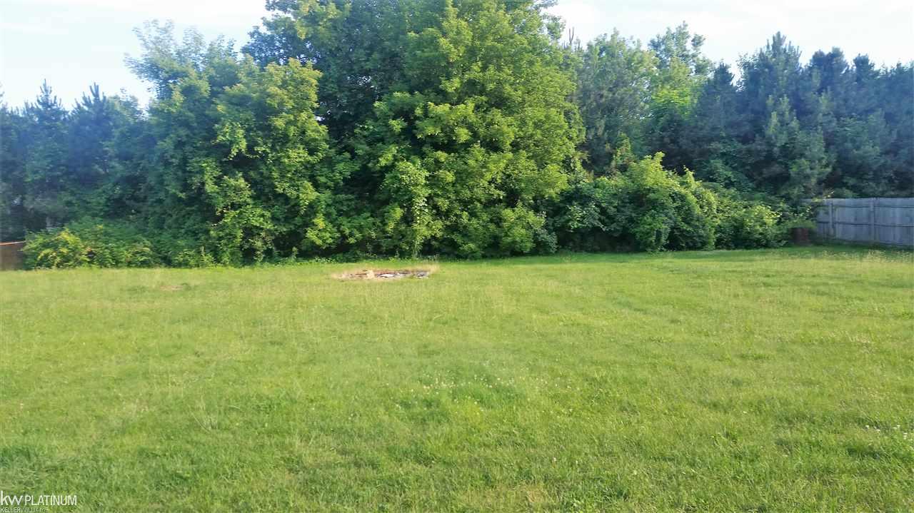 4661 Briggs Road Otter Lake, MI 48464 - Photo 10 of 10