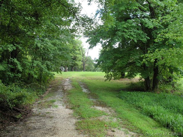 656 Hicks Wharf Road Cardinal, VA 23025 - Photo 2 of 7 a view of yard with green space