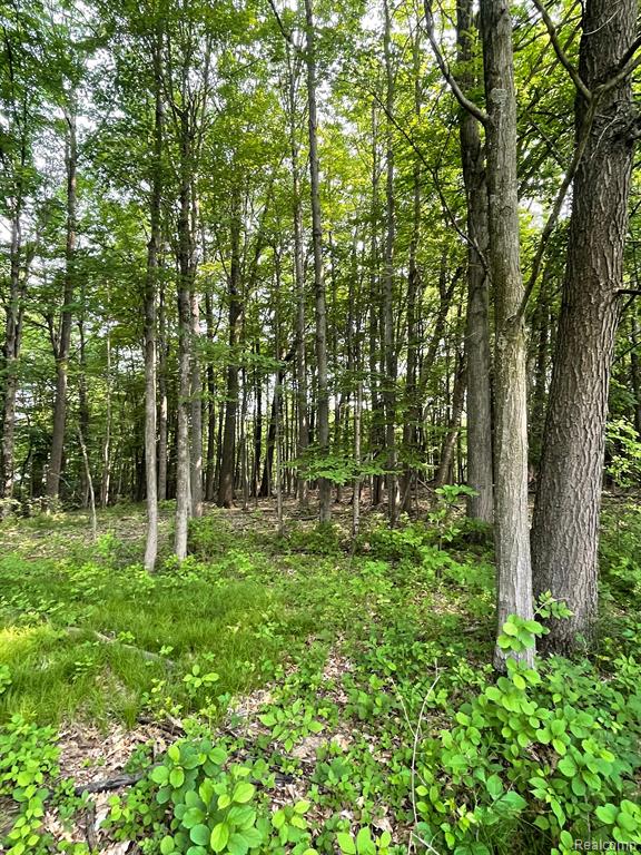 0 Mill Road Dryden, MI 48428 - Photo 10 of 18